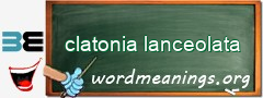 WordMeaning blackboard for clatonia lanceolata